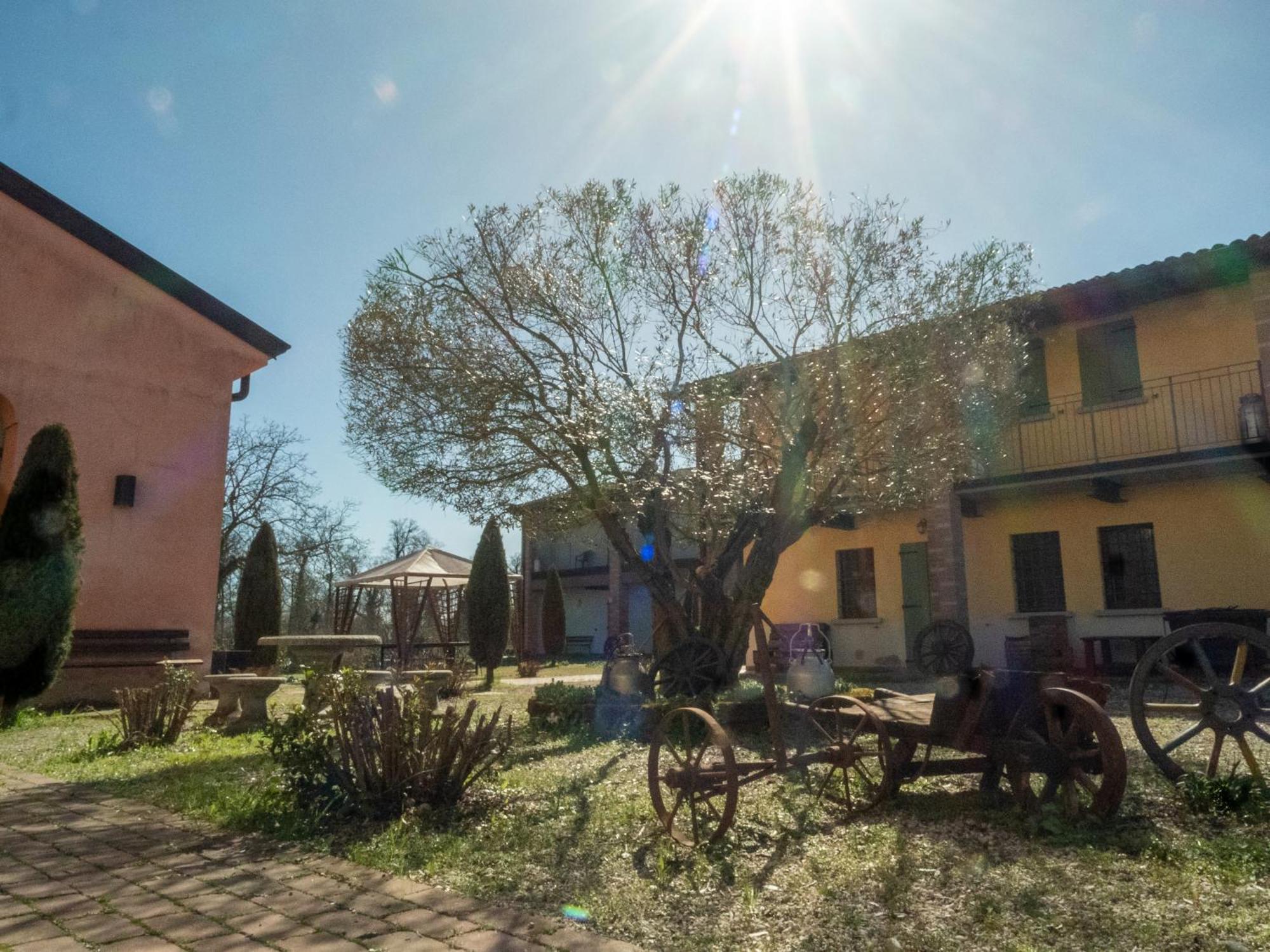 Agriturismo Borgo Del Mincio Volta Mantovana Luaran gambar
